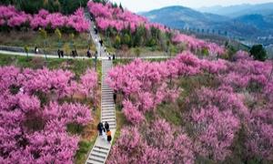 烟雨柳枝花间令 画笔陆浑一湖春