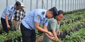 以温暖助力鲜花经济绽放芬芳